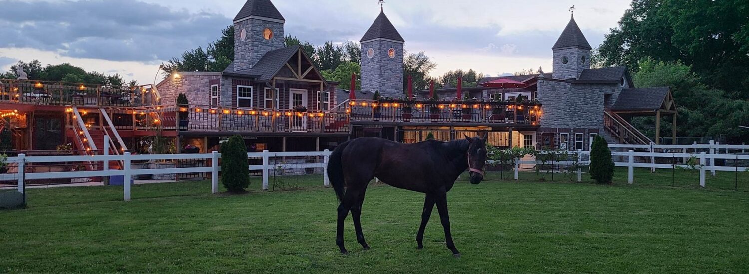 Saddle Creek KC, MO
